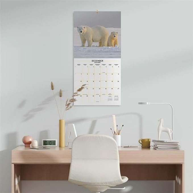 Wildlife Wall Calendar 2025 12" x 12" FSC® Plastic Free - Starts Week On Sunday | Square Wall Calendar | Family Planner Calendar 2025 | Animal Calendar 2025