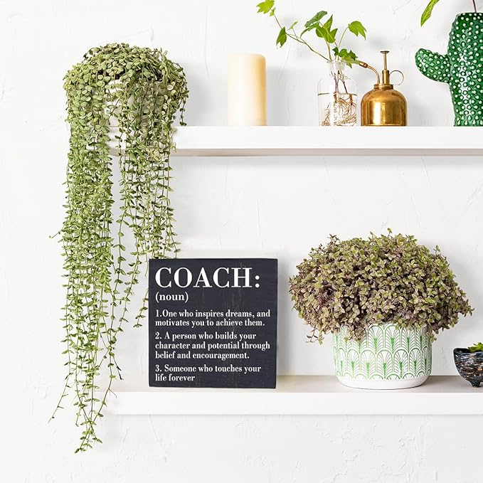 Inspirational Coach Noun Coach Gifts Desk Decor Wooden Box Sign Rustic Black Wood Block Plaque Box Sign for Coach Mentor Trainer Tutor Home Office Desk Shelf Table Decoration Coach Definition