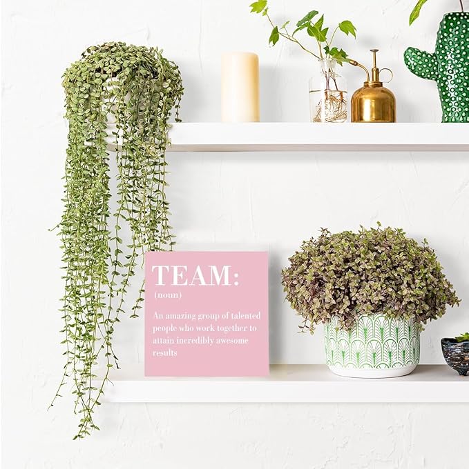 Inspirational Team Noun Office Decor Desk Decor Wooden Box Sign Rustic Pink Wood Block Plaque Box Sign for Home Office Desk Shelf Table Decoration Coworker Gift Team Definition Teamwork Sign