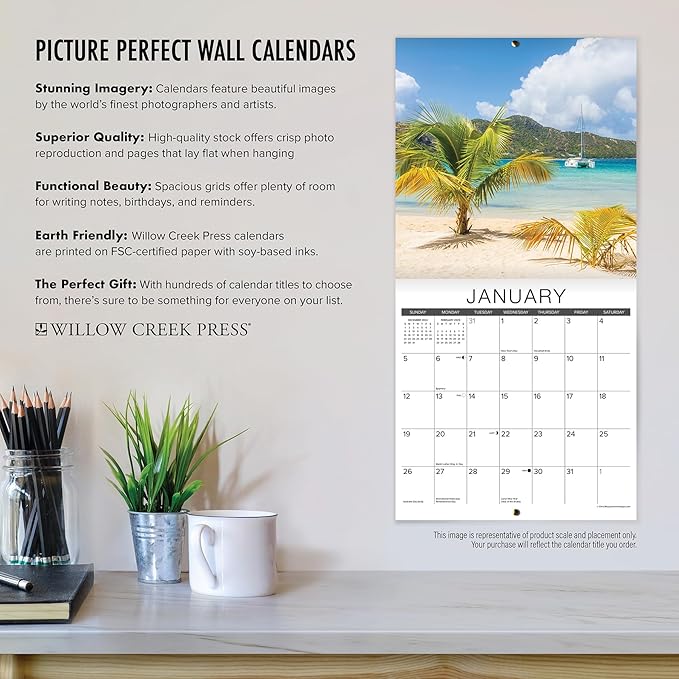 Willow Creek Press German Shepherds Monthly 2025 Wall Calendar (12" x 12")