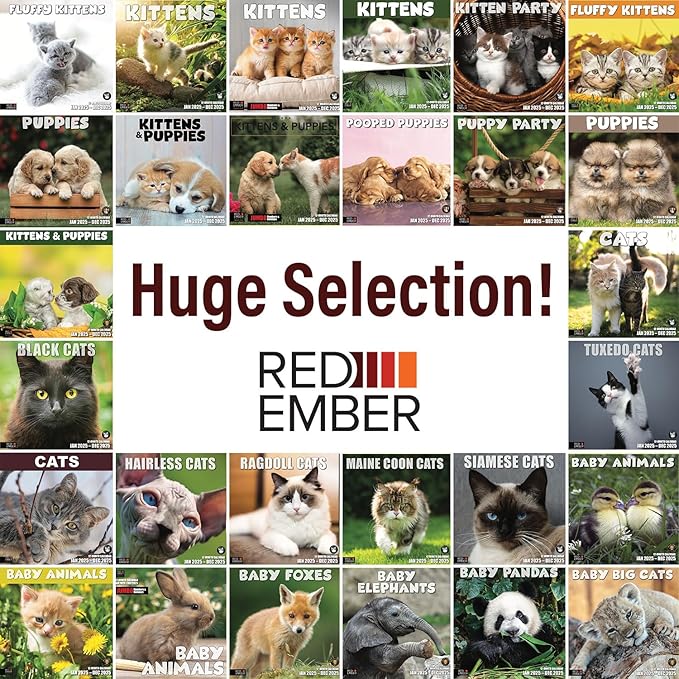 RED EMBER Kitten Party 2025 Wall Calendar 12 Month | 12" x 24" Open | Thick & Sturdy Paper | Giftable | Calendar 2025