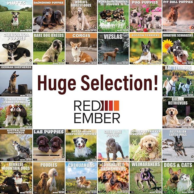 RED EMBER Golden Retriever Puppies 2025 Wall Calendar 12 Month | 12" x 24" Open | Thick & Sturdy Paper | Giftable | Calendar 2025