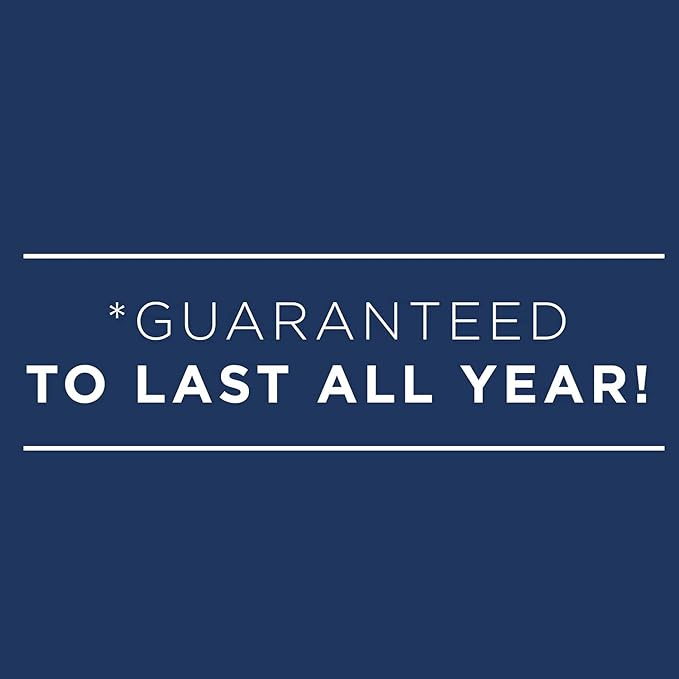 AT-A-GLANCE 2024 Weekly & Monthly Planner, DayMinder, Quarter-Hourly Appointment Book, 8-1/2" x 11", Large, Spiral Bound, Monthly Tabs, Gray (GC5200724)
