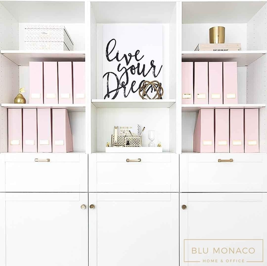 BLU MONACO Set of 6 Foldable Pink Magazine Holder with Gold Label Holders – Cute Stylish Magazine Storage for Shelves, and Closets – Book Bins, File Desk Organizer, and Document Storage