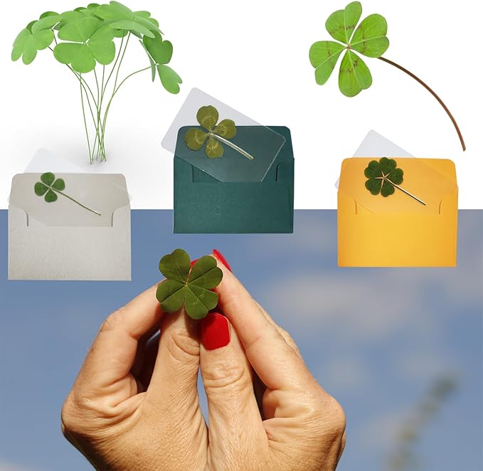 Genuine Real Four Leaf Clover Card Bookmark, Five Leaf Clover Card, Good Luck Gift Card, Invitation Card in Envelope, Good Luck Charm Deco (Four-Leaf Clover)