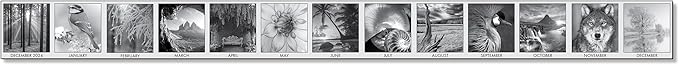 House of Doolittle 2025 Monthly Desk Pad Calendar, Black on White Series, 22 x 17 Inches, 13 Months, December - December (HOD122-25)
