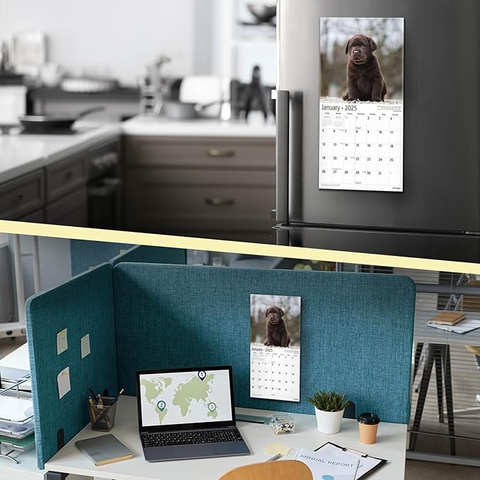 RED EMBER Lab Puppies Mini 2025 Wall Calendar 12 Month | 7" x 14" Open | Thick & Sturdy Paper | Giftable | Calendar 2025