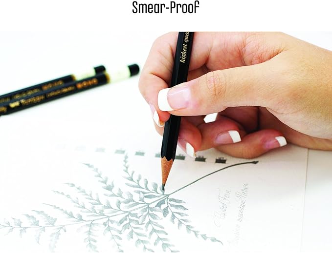 Tombow 51512 MONO Drawing Pencil, 2H, Graphite 12-Pack