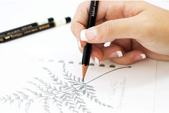 Tombow 51503 MONO Drawing Pencil, 6B, Graphite 12-Pack