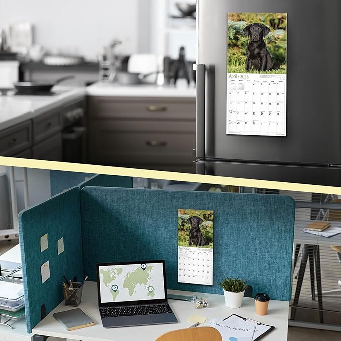 RED EMBER Black Lab Puppies Mini 2025 Wall Calendar 12 Month | 7" x 14" Open | Thick & Sturdy Paper | Giftable | Calendar 2025