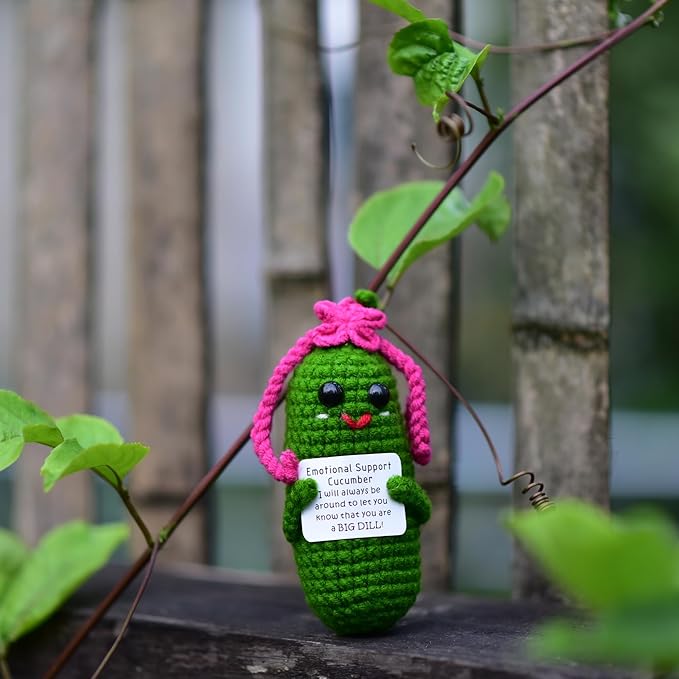 Funny Crochet Pickles 1 Pcs with Affirmations Cards for Inspirational Novelty Good Luck Gift and Party Decorations (KK-CKD04- REDCUM)
