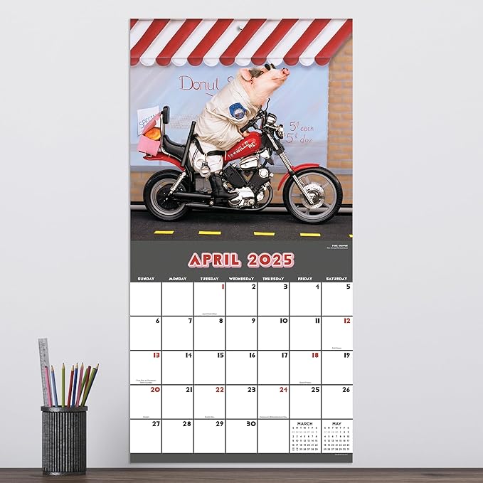 TF PUBLISHING 2025 Playful Pigs Wall Calendar - Large Grids for Appointments and Scheduling - Vertical Monthly Wall Calendar 2025 - Home and Office Organization - Premium Gloss Paper - 12"x12”