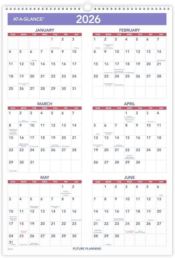 AT-A-GLANCE 2025 Wall Calendar, 15-1/2" x 22-3/4", Large, 3-Month Reference (PM62825)