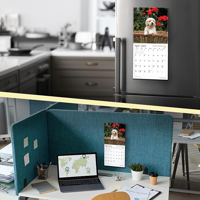 RED EMBER Golden Retriever Puppies Mini 2025 Wall Calendar 12 Month | 7" x 14" Open | Thick & Sturdy Paper | Giftable | Calendar 2025