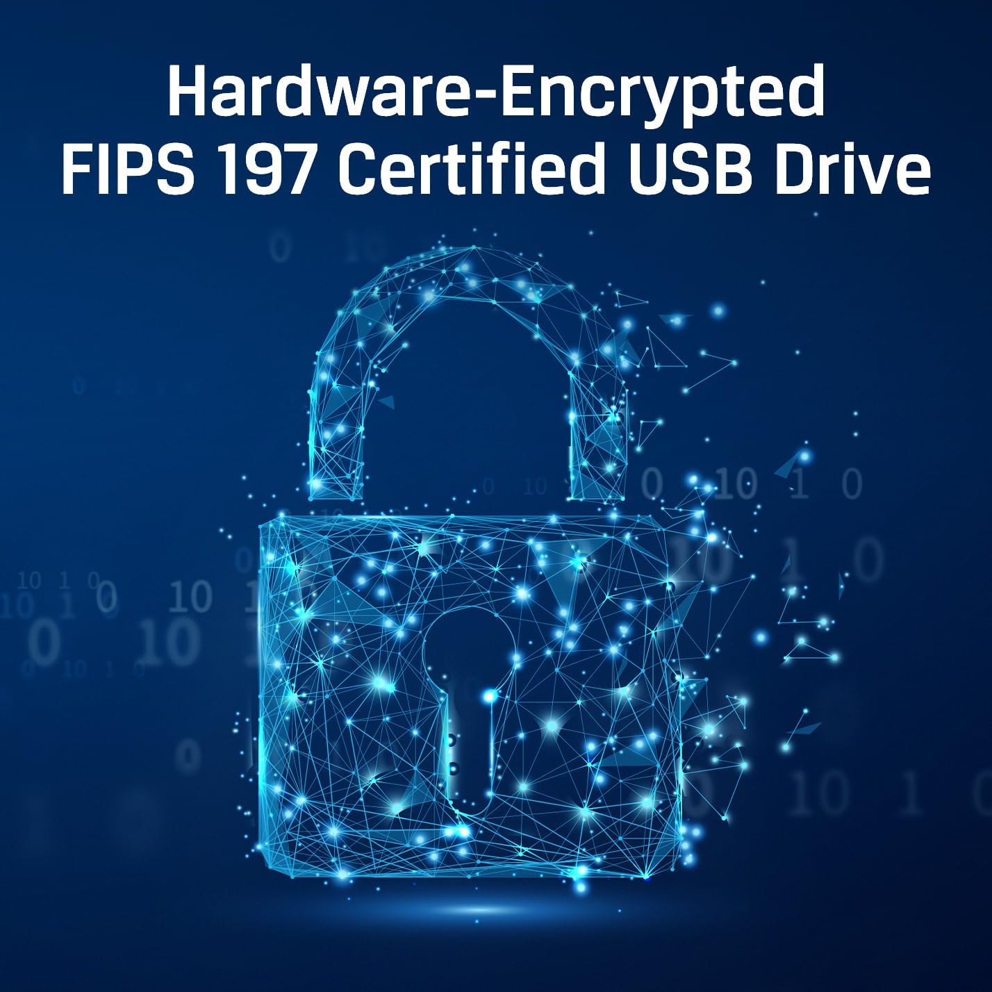 Kingston Ironkey Vault Privacy 50 USB-C 512GB Encrypted Flash Drive | FIPS 197 Certified | XTS-AES 256-bit | BadUSB and Brute Force Protection | Mult-Password Option | IKVP50C/512GB