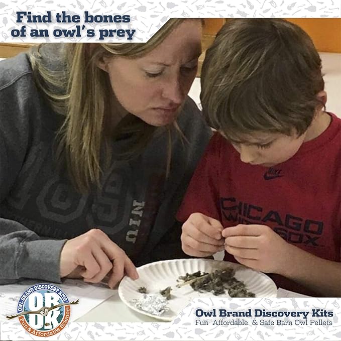 OBDK Barn Owl Pellets for Dissection - 1 Pack Small Sized (1.0-1.5") with Tools, Guide and Charts from Owl Brand Discovery Kits