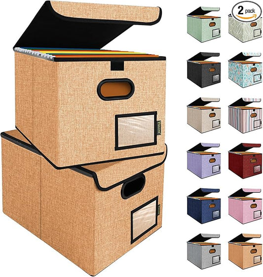 BALEINE File Organizer Box with Lid, Collapsible File Folder Organizer with Plastic Slide, Hanging File Folder Box for Office Document Storage (2 Pack, Orange)