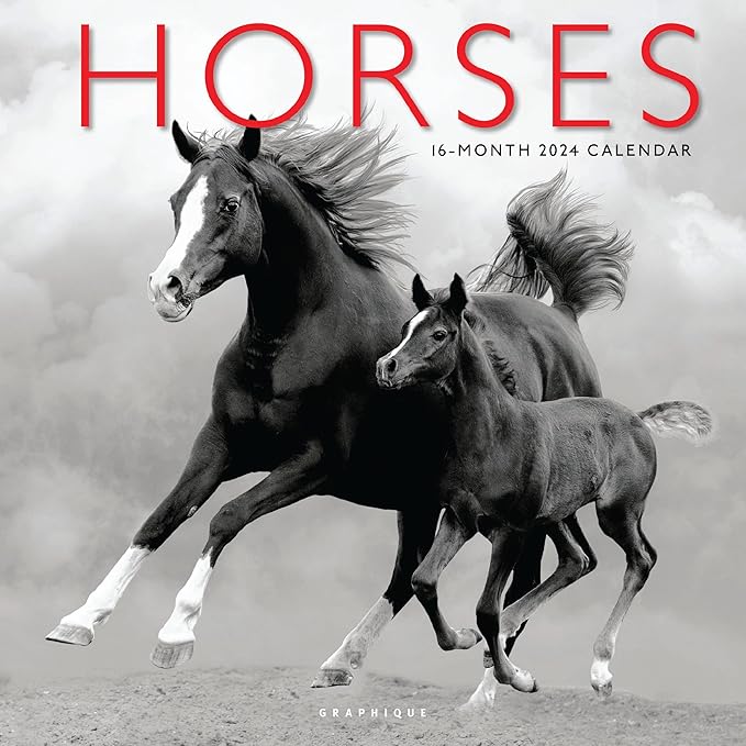 Graphique 2024 Horses Wall Calendar | 12” x 12” | Thick Paper | Home & Office Organizer | Large Monthly Grid | 3 Languages & Marked Holidays | 4 Month Preview Page for 2025