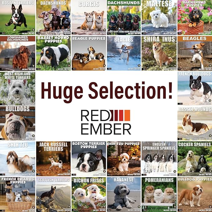 RED EMBER French Bulldog Puppies 2025 Wall Calendar 12 Month | 12" x 24" Open | Thick & Sturdy Paper | Giftable | Calendar 2025