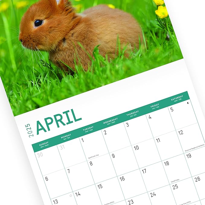 2025 Baby Animals Monthly Wall Calendar by Bright Day, Includes Over 300 Stickers, 12 x 12 Inch