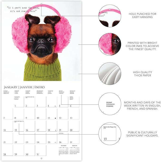 Graphique 2024 Pawparazzi Wall Calendar | 12” x 12” | Thick Paper | Home & Office Organizer | Large Monthly Grid | 3 Languages & Marked Holidays | 4 Month Preview Page for 2025