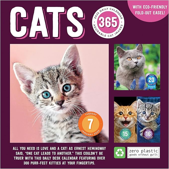 TF PUBLISHING 2025 Cat A Day Daily Desktop Calendar Case of 32 - Home and Office Organization - Over 300 Full-Color Easy Tear-Off Pages - Attached Fold-Out Cardboard Easel for Desks - 5.25” x 5.25”