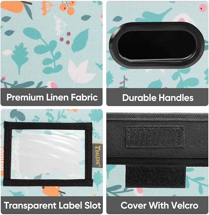 BALEINE File Organizer Box with Lid, Collapsible File Folder Organizer with Plastic Slide, Hanging File Folder Box for Office Document Storage (2 Pack, Spring Stroll)
