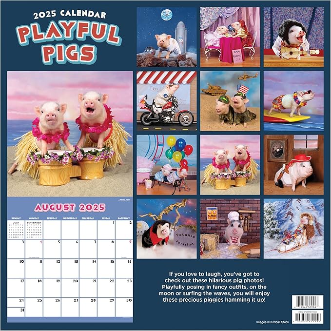 TF PUBLISHING 2025 Playful Pigs Wall Calendar Case of 48 - Large Grids for Appointments and Scheduling - Vertical Monthly Wall Calendar - Home and Office Organization - Premium Gloss Paper - 12"x12”