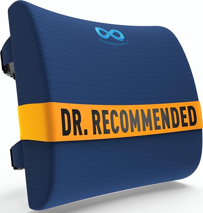 Everlasting Comfort Lumbar Support Pillow for Office Chair - Memory Foam Back Cushion for Chair, Car, Couch - Lumbar Pillow Promotes Better Posture, Back Pain Relief - Ideal for Gaming and Desk Chairs
