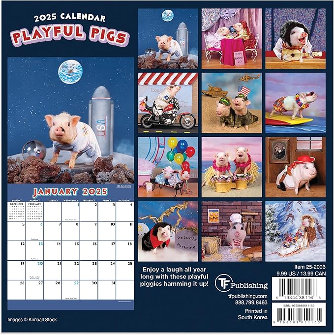 TF PUBLISHING 2025 Playful Pigs Mini Calendar - Large Grids for Appointments and Scheduling - Vertical Monthly Wall Calendar 2025 - Home and Office Organization - Premium Thick Gloss Paper - 7"x7"