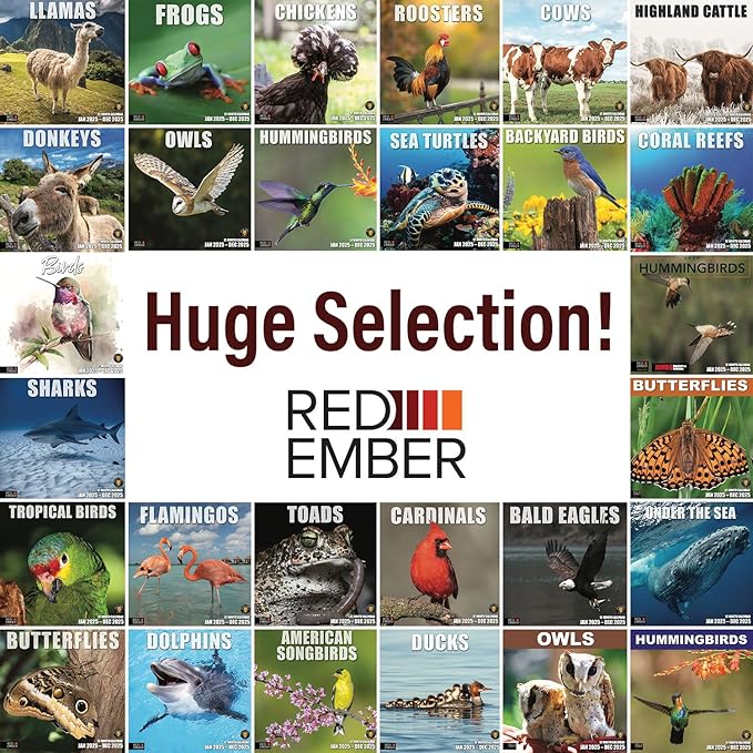 RED EMBER Cows 2025 Wall Calendar 12 Month | 12" x 24" Open | Thick & Sturdy Paper | Giftable | Calendar 2025