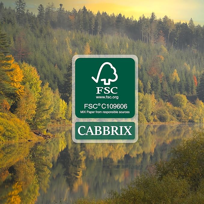 Cabbrix Simplified Desk Calendar 2025-2026, Aesthetic Desk Pad Calendar 15 x 12 Inch Runs From January 2025 to June 2026, Desk Blotter Calendar for Home Office and School