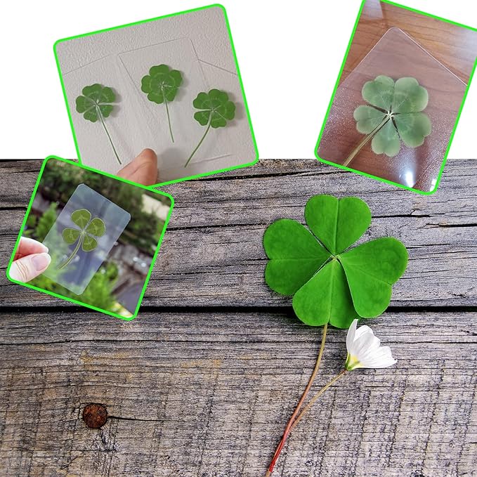 Genuine Real Four Leaf Clover Card Bookmark, Five Leaf Clover Card, Good Luck Gift Card, Invitation Card in Envelope, Good Luck Charm Deco (Four-Leaf Clover)