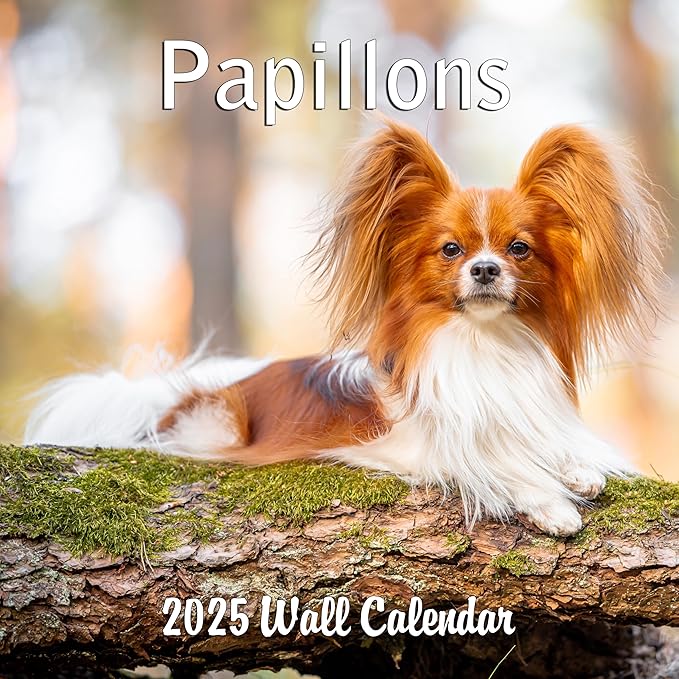 2025 Papillons Monthly Wall Calendar | 12" x 24" | Thick Sturdy Paper | Dog Calendar 2024-2025