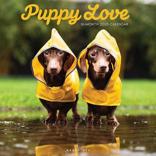 Graphique 2025 Puppy Love Wall Calendar | 12” x 12” | Thick Paper | Home & Office Organizer | Large Monthly Grid | 3 Languages & Marked Holidays | 4 Month Preview Page for 2026