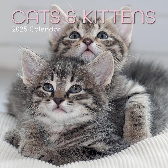 The Gifted Stationary 2025 Square Wall Calendar, Cats & Kittens, 16-Month Animals Theme Hanging Calendar with 180 Reminder Stickers, Month Planner for Home, or Creative Spaces, 12x12 In